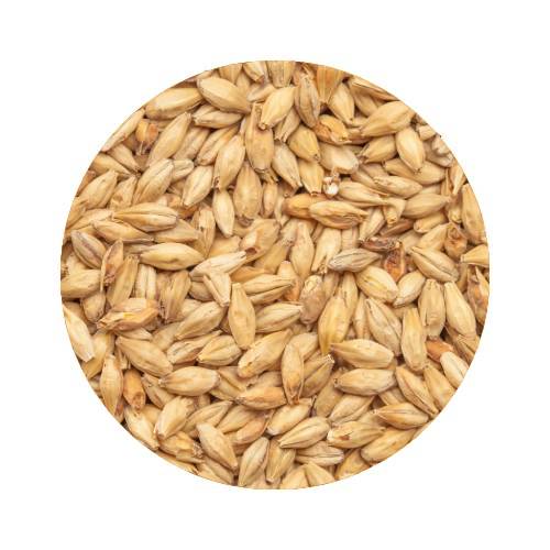 BEST Munich Dark 10 kg