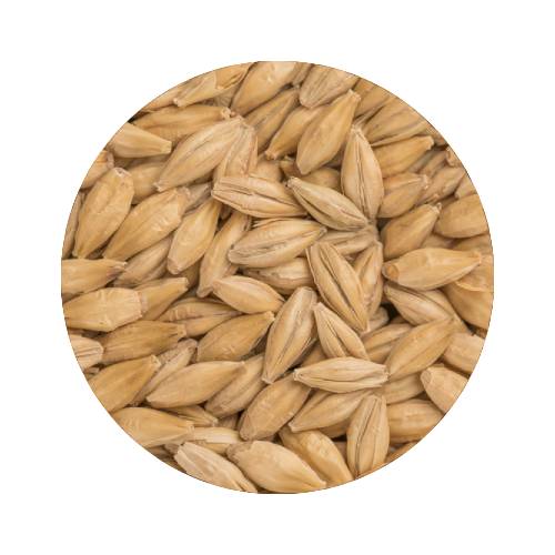 BEST A-XL Whole Pallet 800 kg