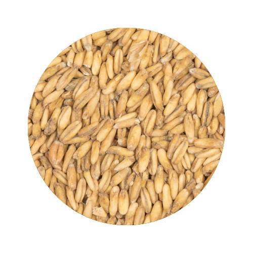 BEST Oat Malt