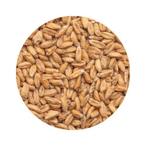 BEST Spelt Malt