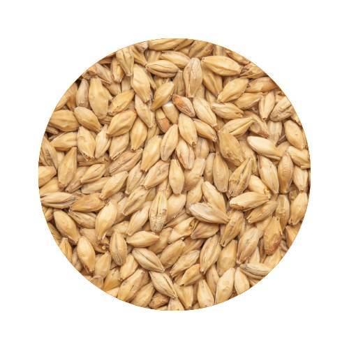 BEST Red X® Whole Pallet 80 kg