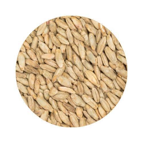 BEST Rye Malt