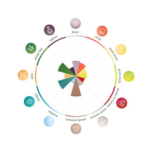 Saaz Pellets 2025 100g