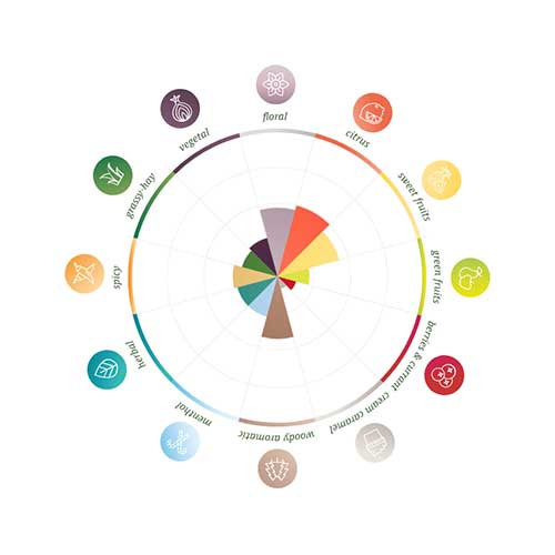 Spalter Select Pellets 2024