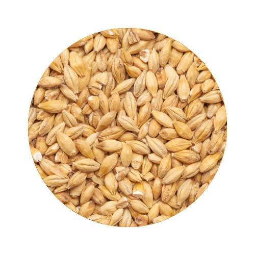 BEST Acidulated Malt