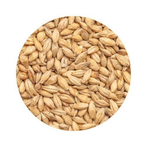 BEST Chit Malt 10 kg