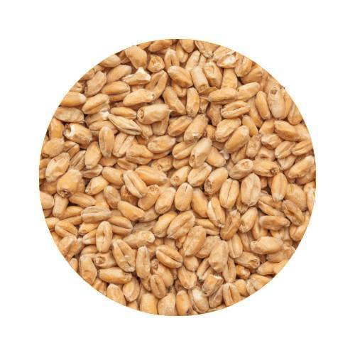 BEST Wheat Malt Whole Pallet 80 kg