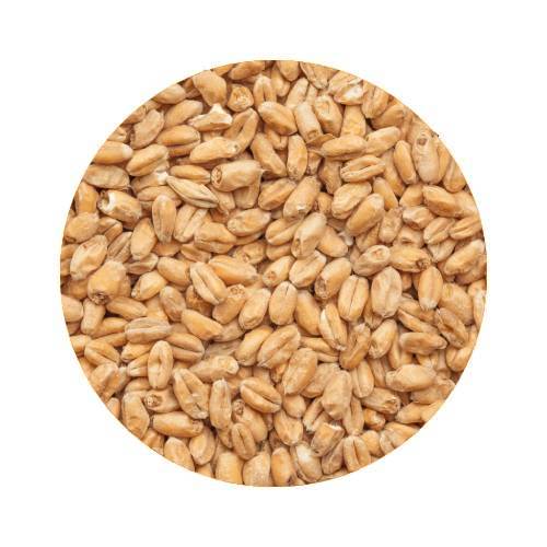 BEST Wheat Malt