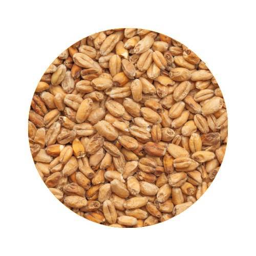 BEST Wheat Malt Dark 10 kg