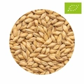 EKO BEST Pilsen Malt 10 kg
