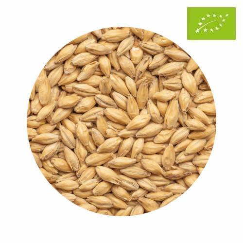 EKO BEST Pilsen Malt 10 kg