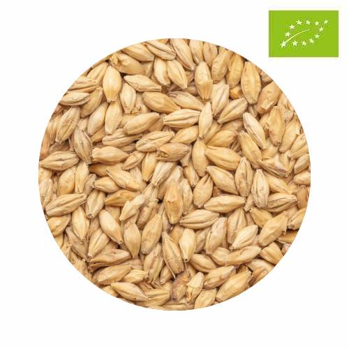 EKO BEST Pale Ale 10 kg