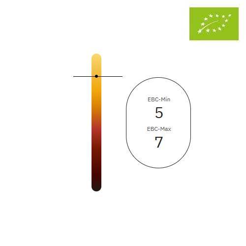 Organic BEST Pale Ale