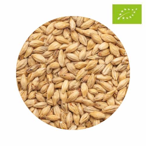 Organic BEST Munich 10 kg