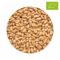 EKO BEST Wheat Malt 10 kg