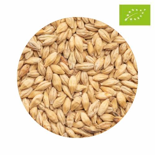 Organic BEST Caramel® Pils 10 kg