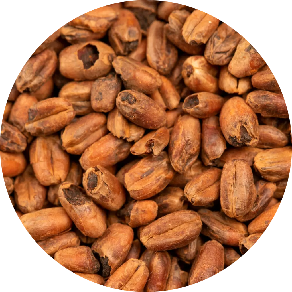 BEST Caramel® Wheat Malt 10 kg