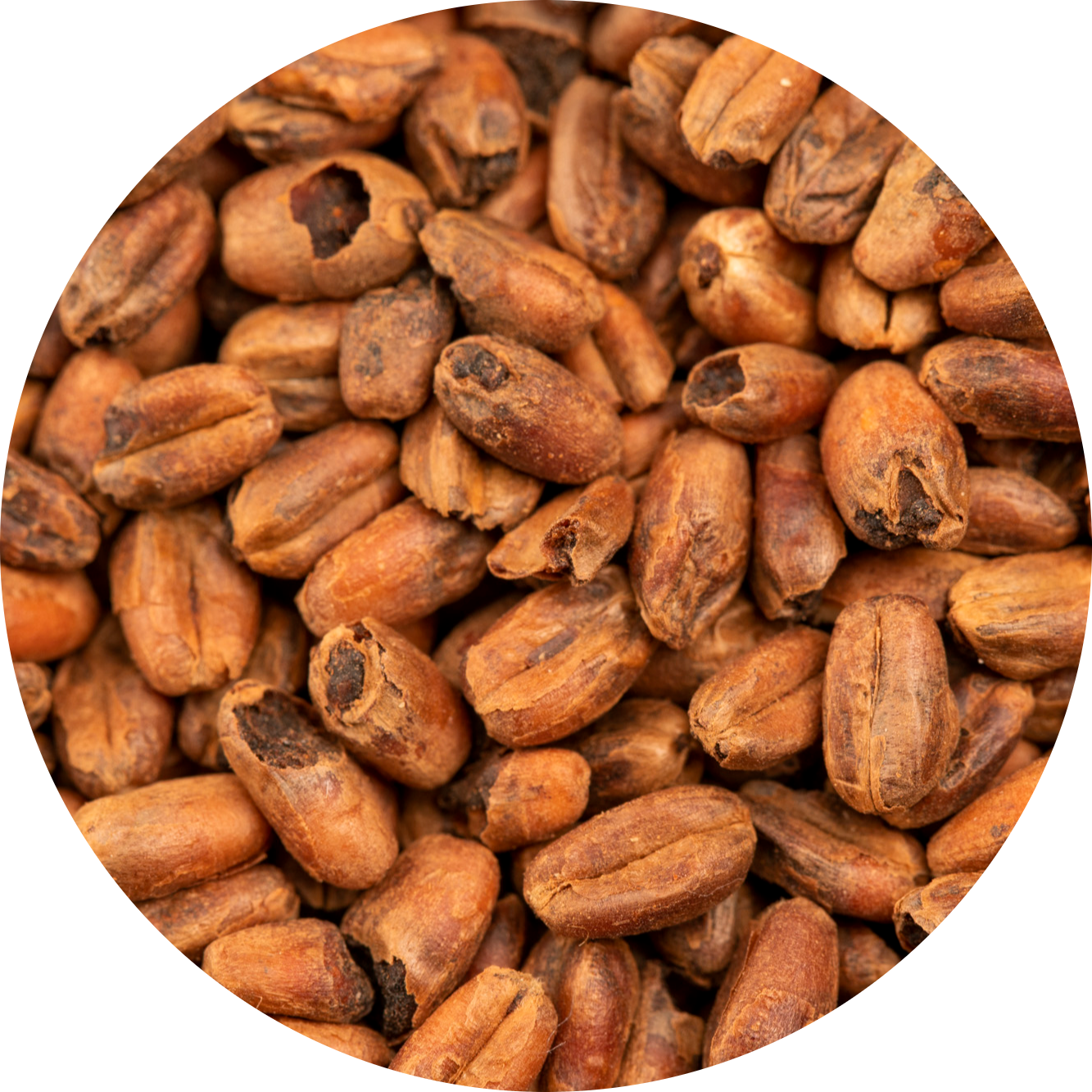 BEST Caramel® Wheat Malt