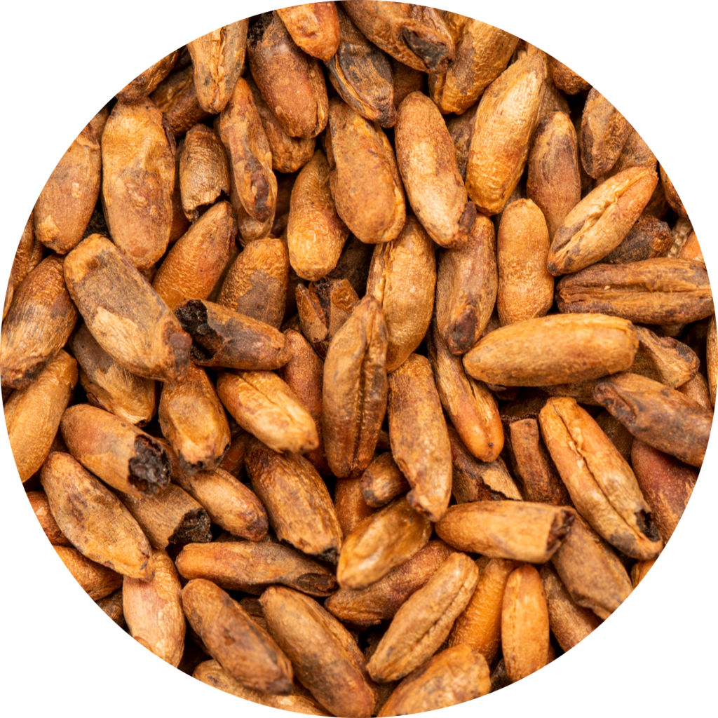 BEST Caramel® Rye Malt 10 kg