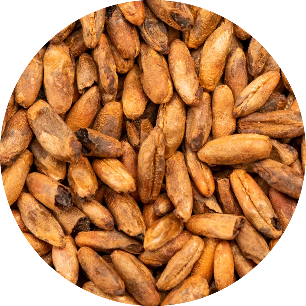 BEST Caramel® Rye Malt 10 kg