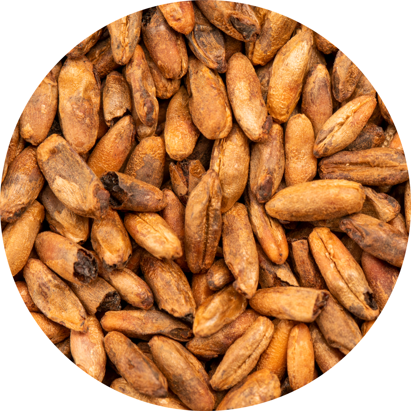 BEST Caramel® Rye Malt