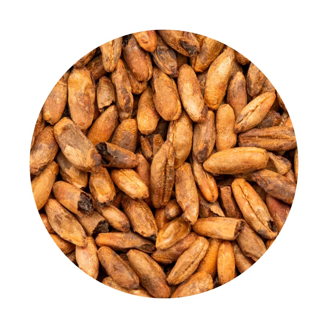 BEST Caramel® Rye Malt