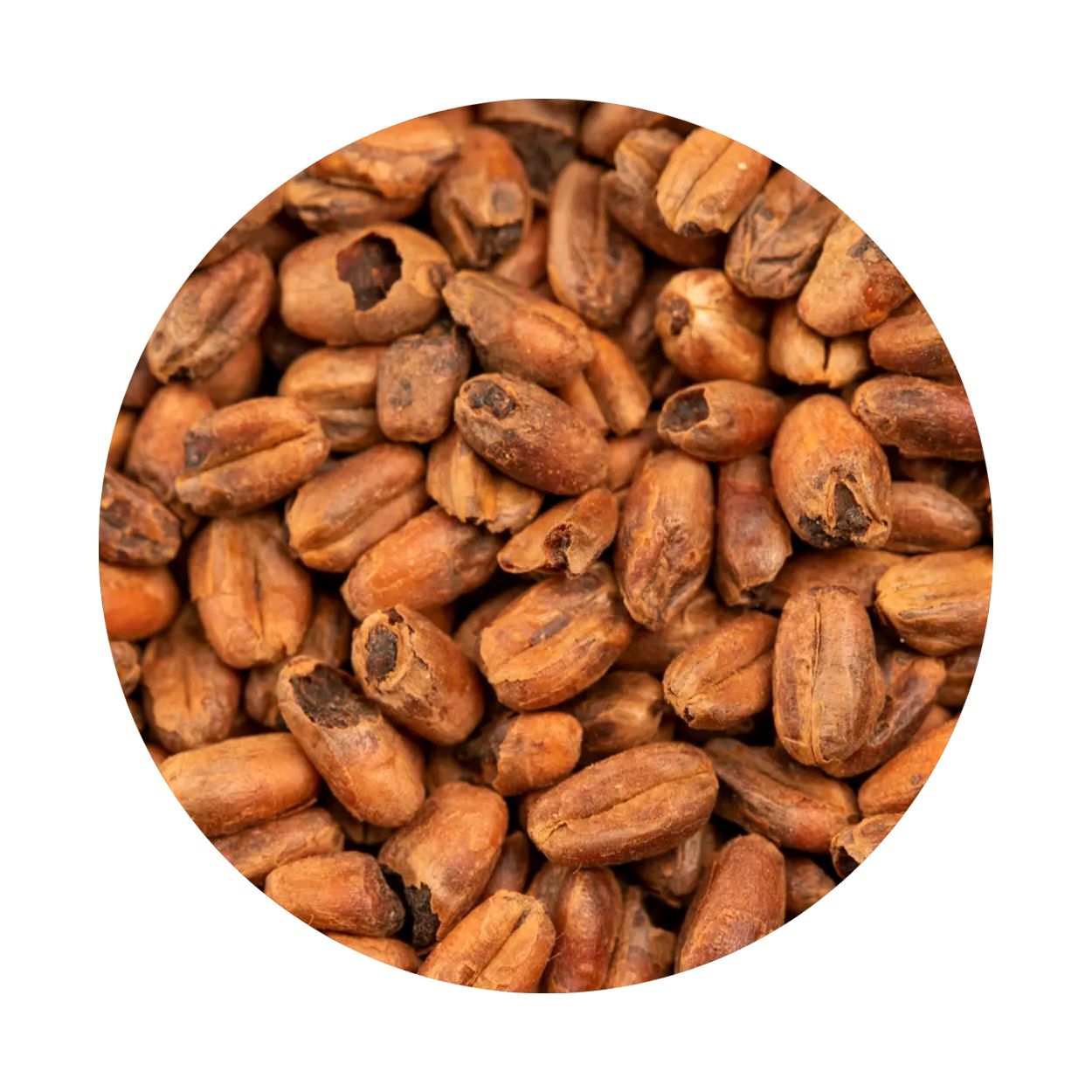 BEST Caramel® Wheat Malt