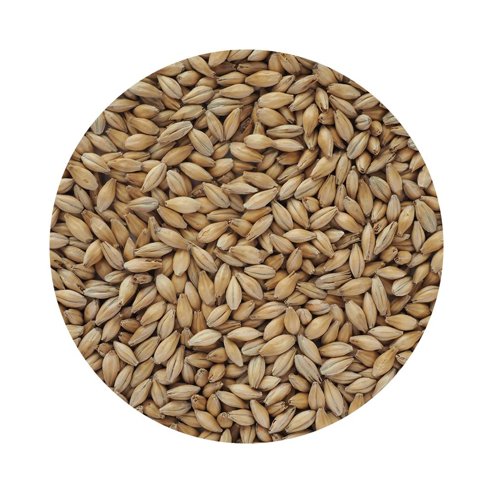 Chevallier Heritage Malt