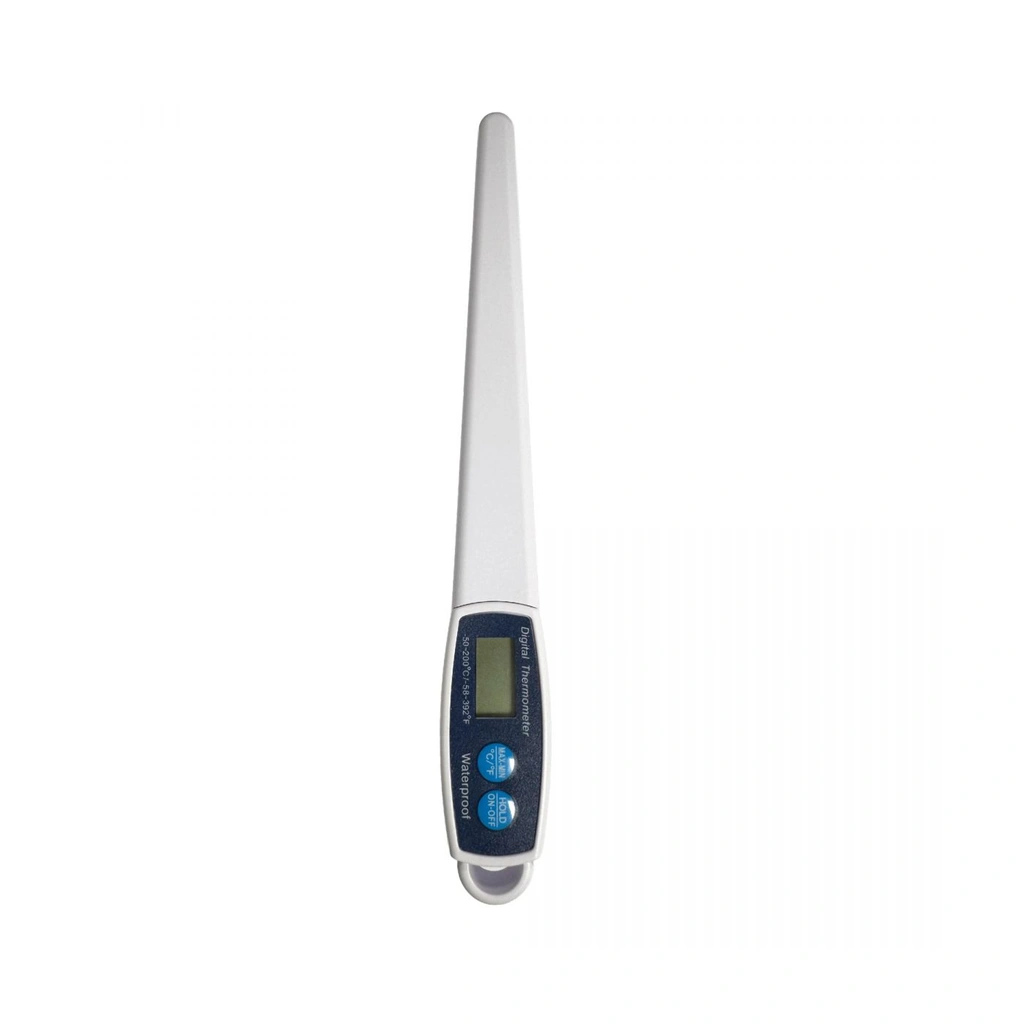 Digipen Digital Thermometer