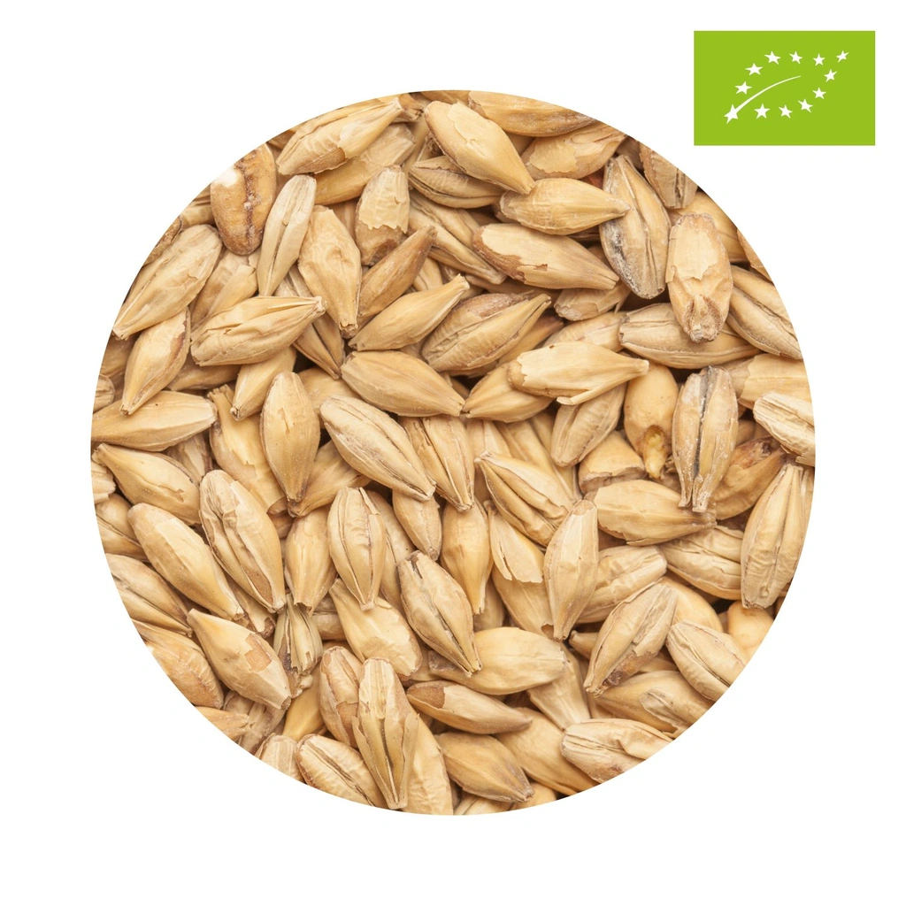 Organic BEST Caramel® Pils