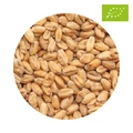 Organic BEST Wheat Malt