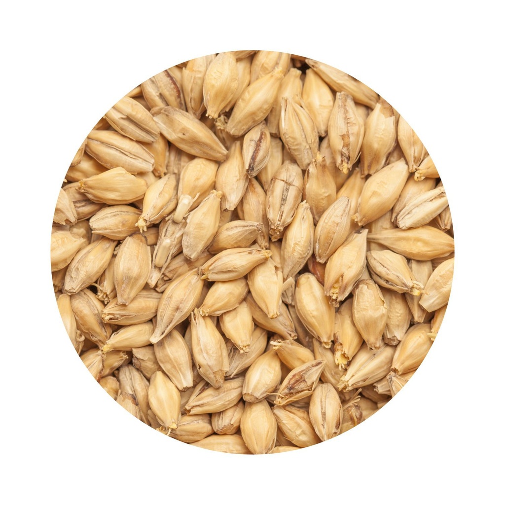 BEST Pilsen Malt