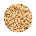 BEST Pilsen Malt