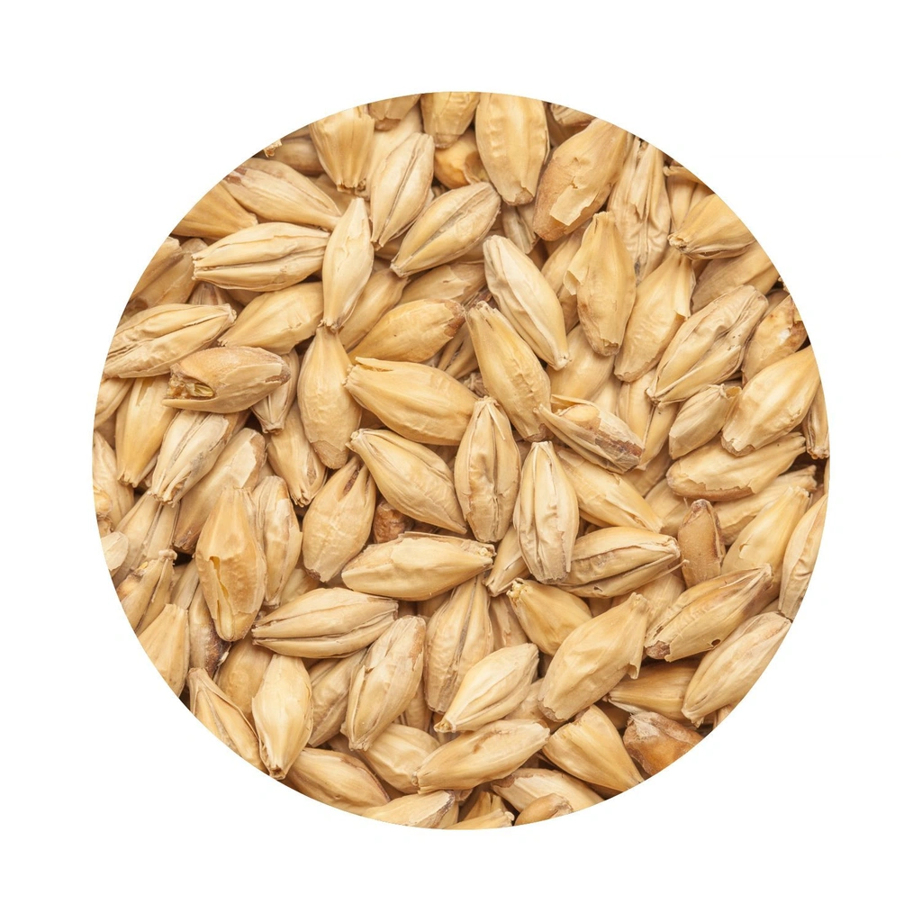 BEST Pale Ale Whole Bag 25 kg