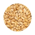BEST Acidulated Malt