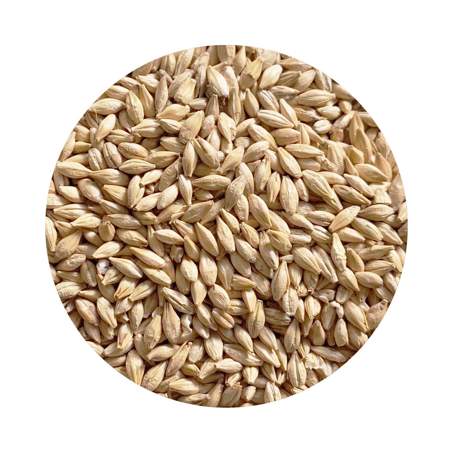 BEST Beechwood Smoked