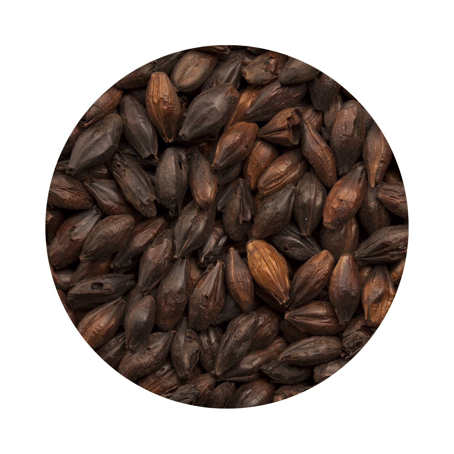 BEST Black Malt