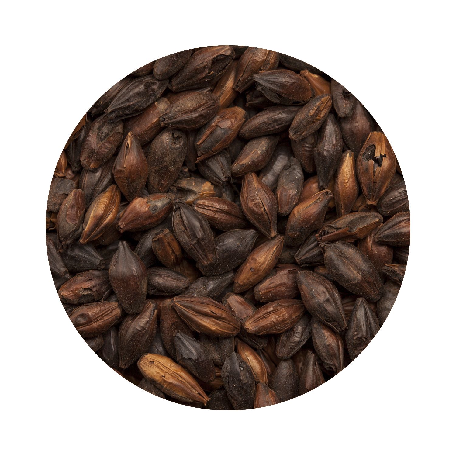 BEST Black Malt eXtra