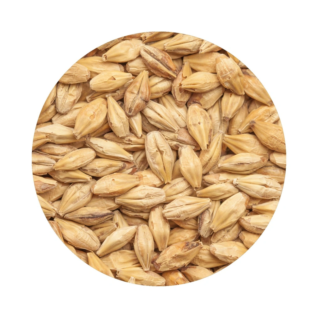 BEST Caramel® Hell Helsäck 25 kg