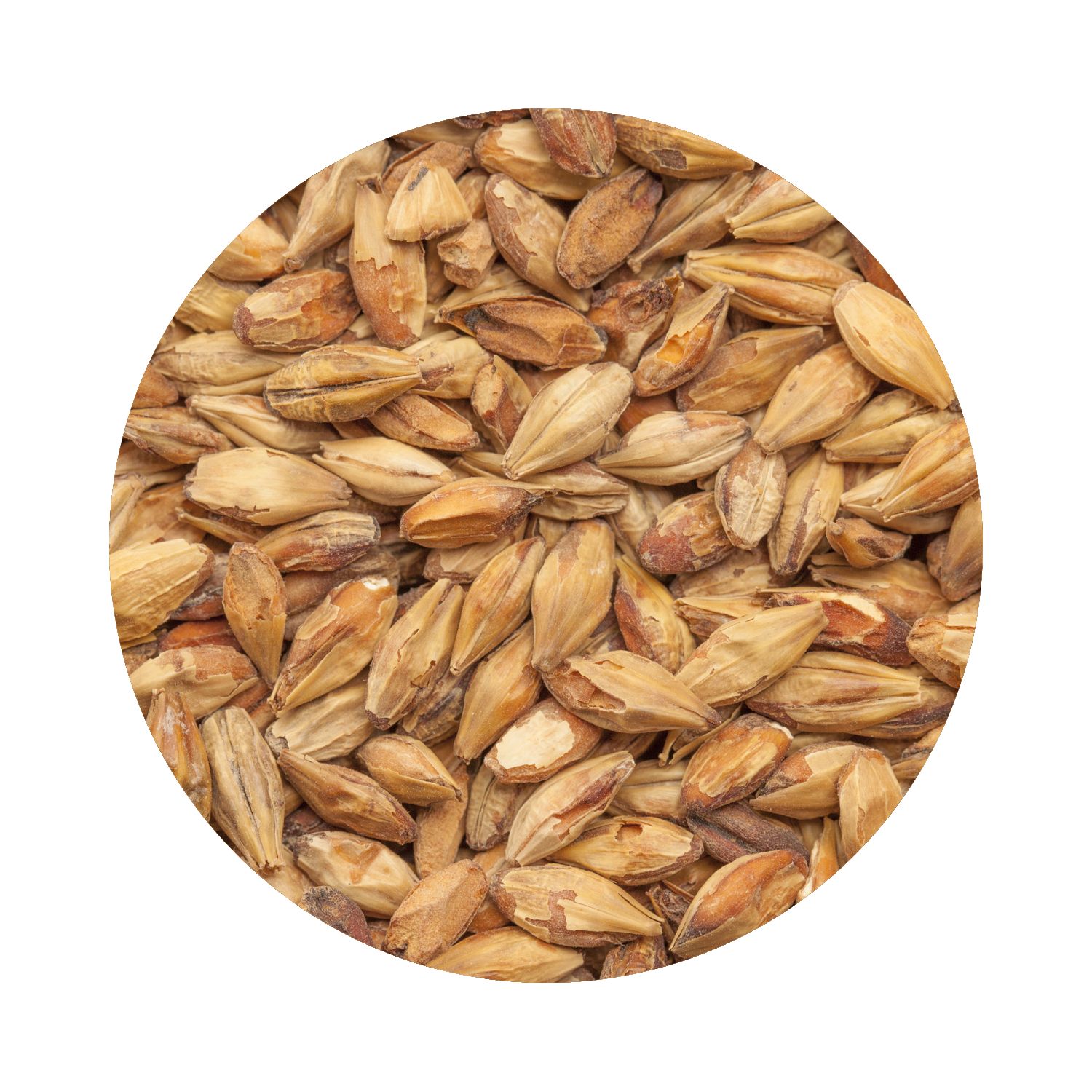 BEST Caramel® Munich I