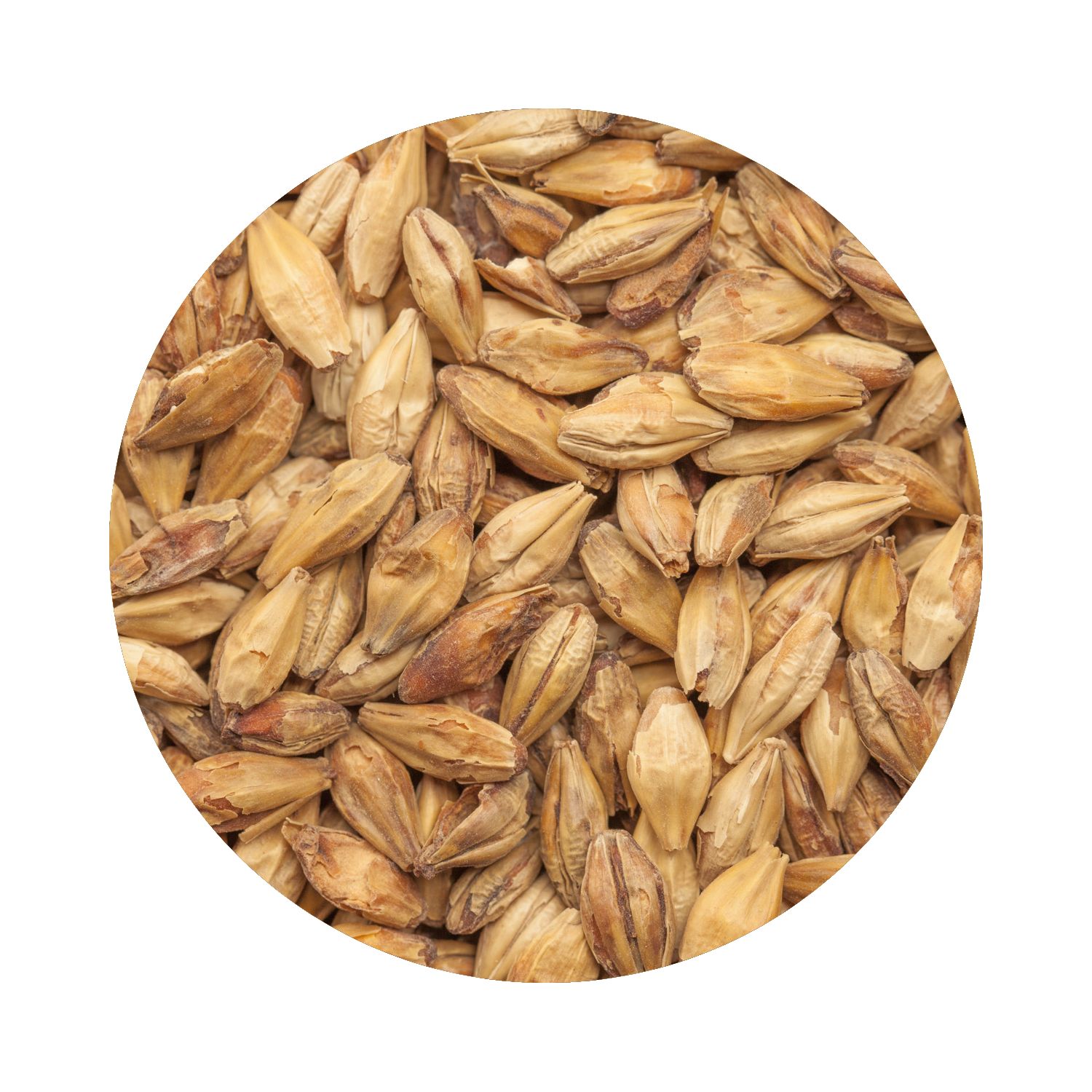 BEST Caramel® Munich II