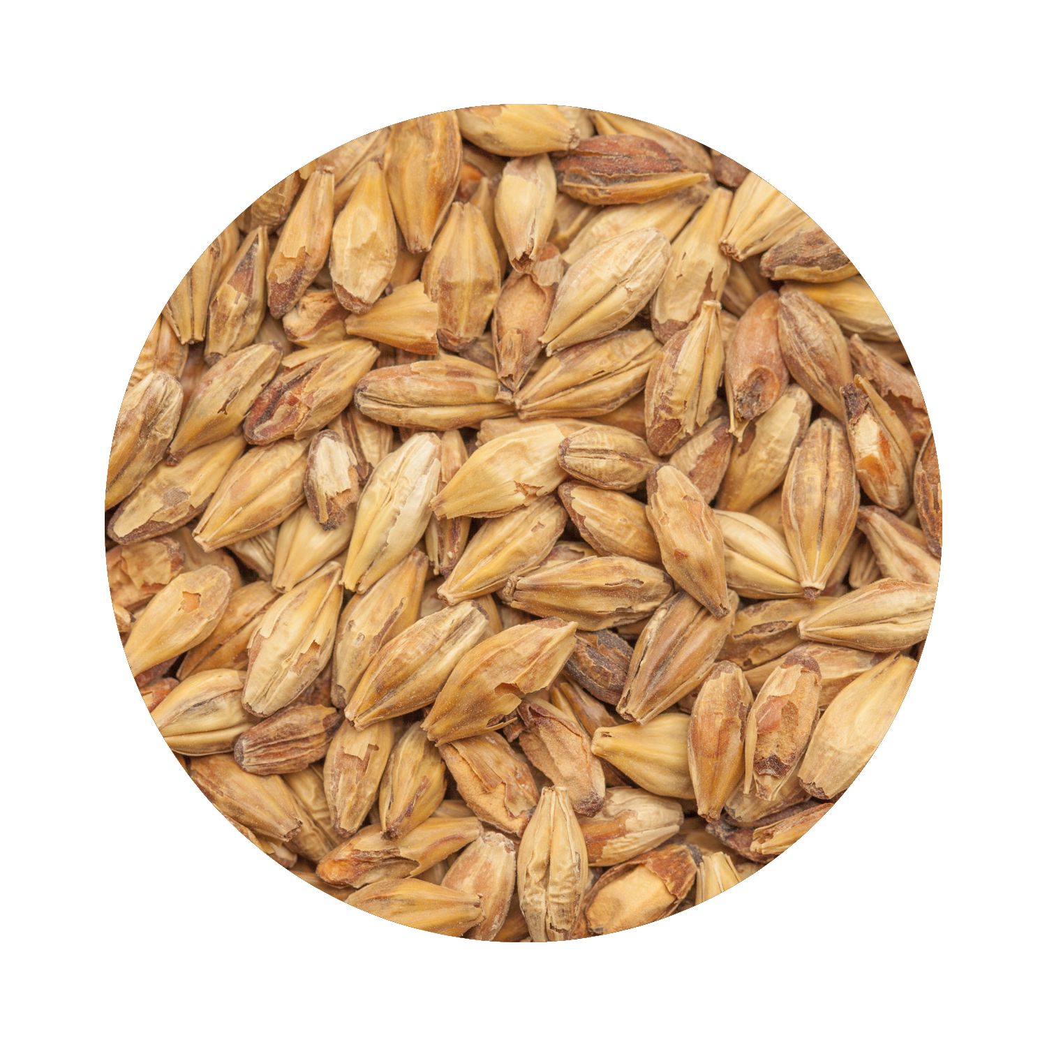 BEST Caramel® Munich III