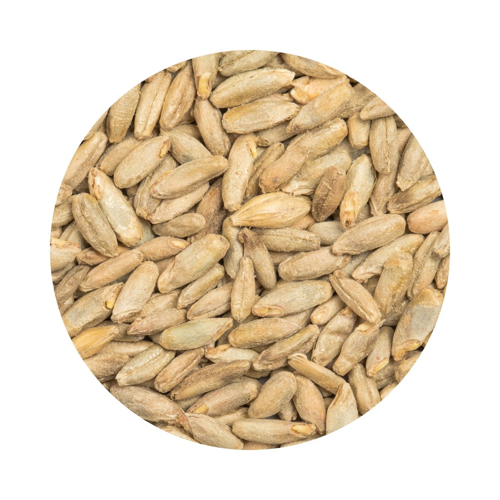 BEST Rye Malt
