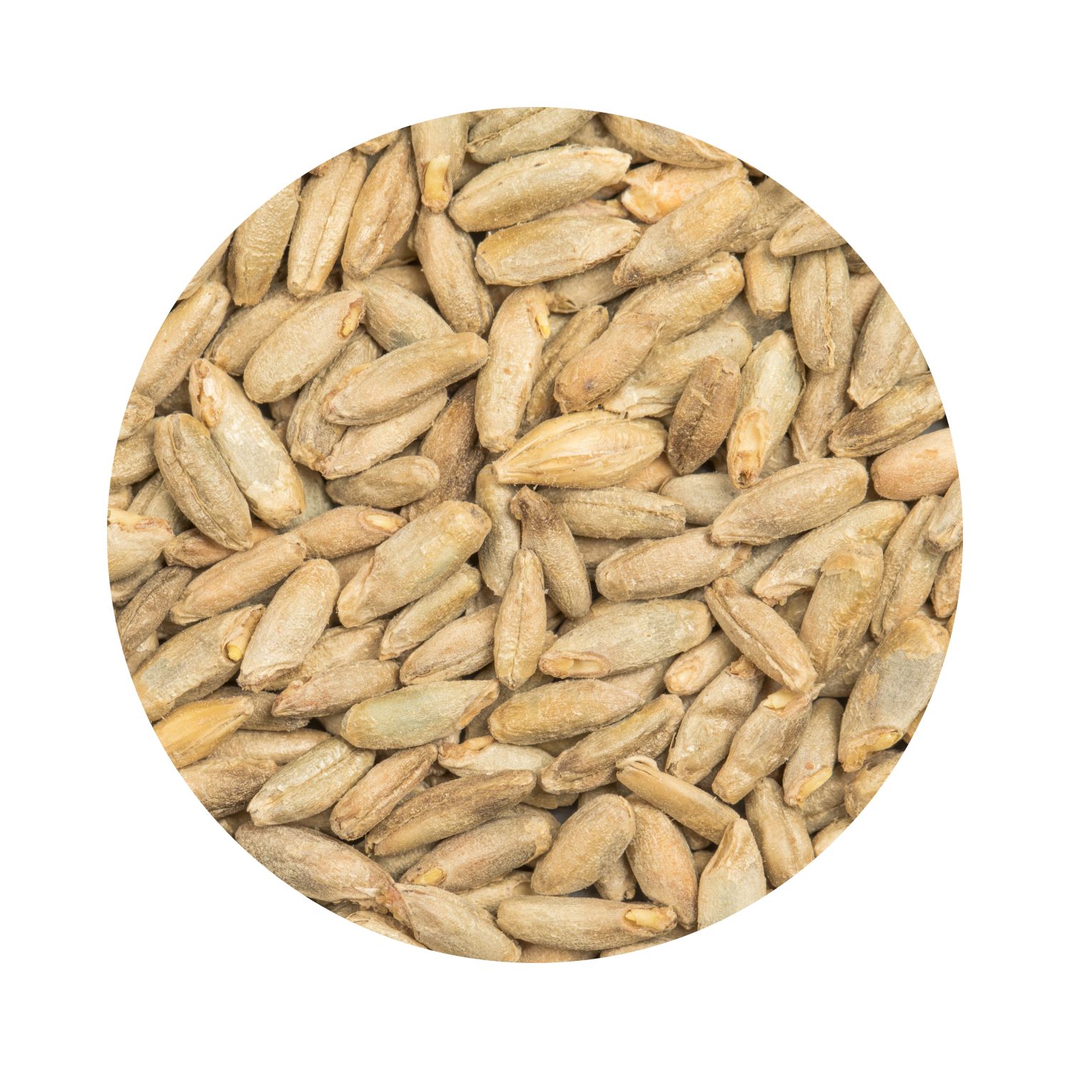 BEST Rye Malt