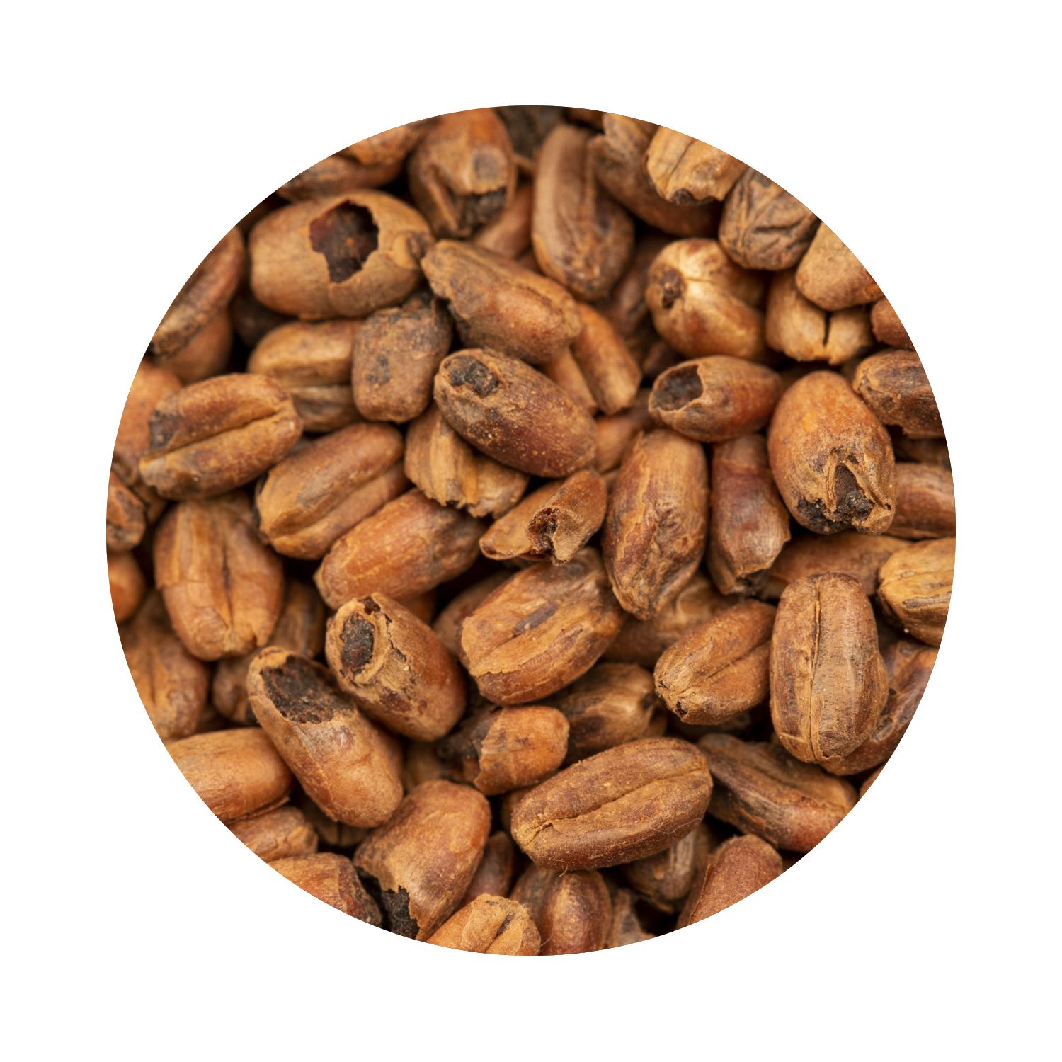 BEST Caramel® Wheat Malt