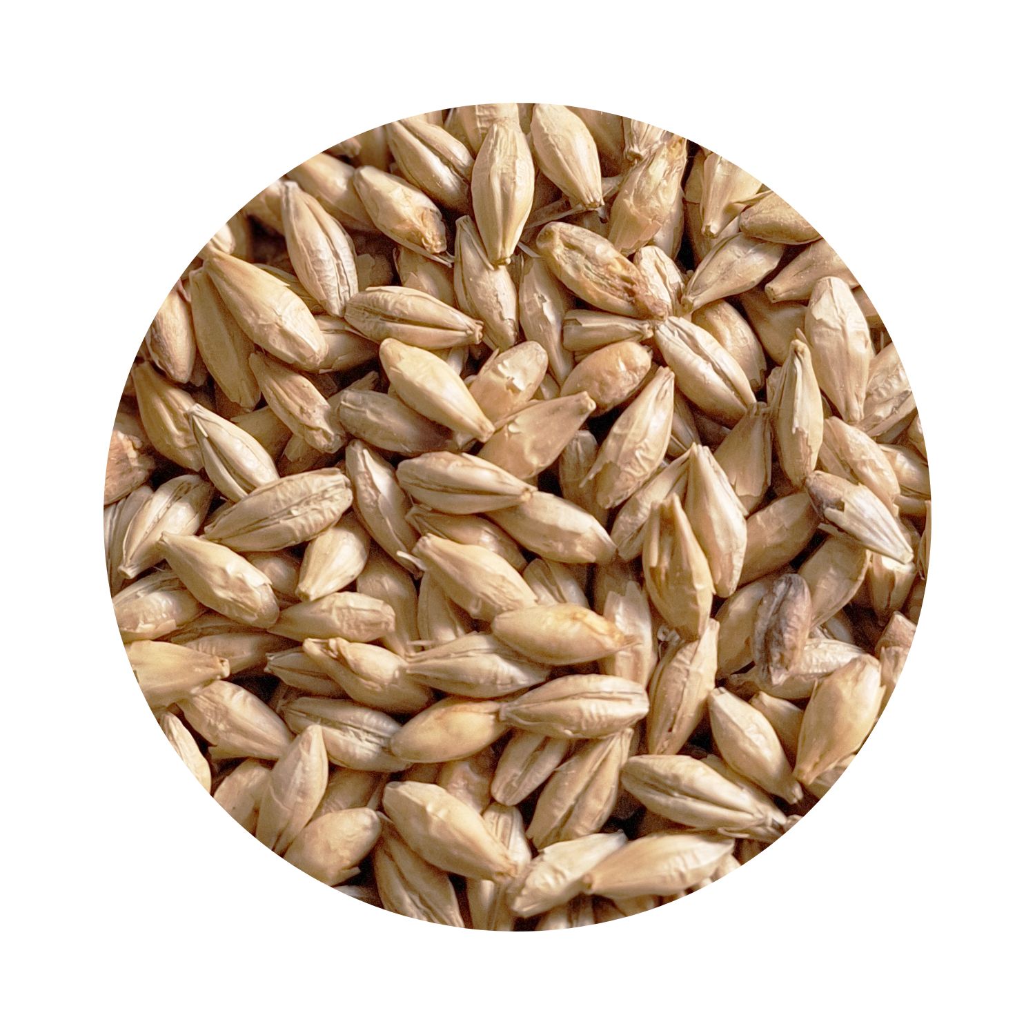 BEST Cherry Ember Smoked