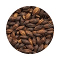 BEST Chocolate