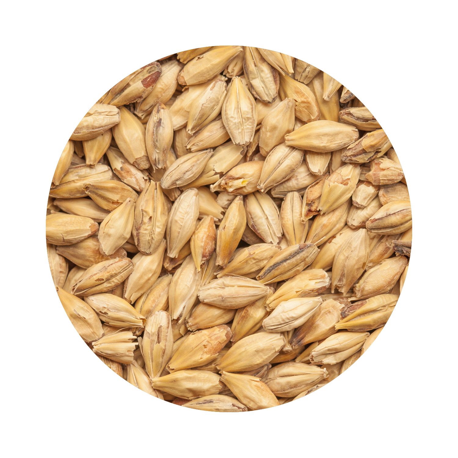 BEST Melanoidin Light