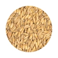 BEST Oat Malt Helsäck 25 kg