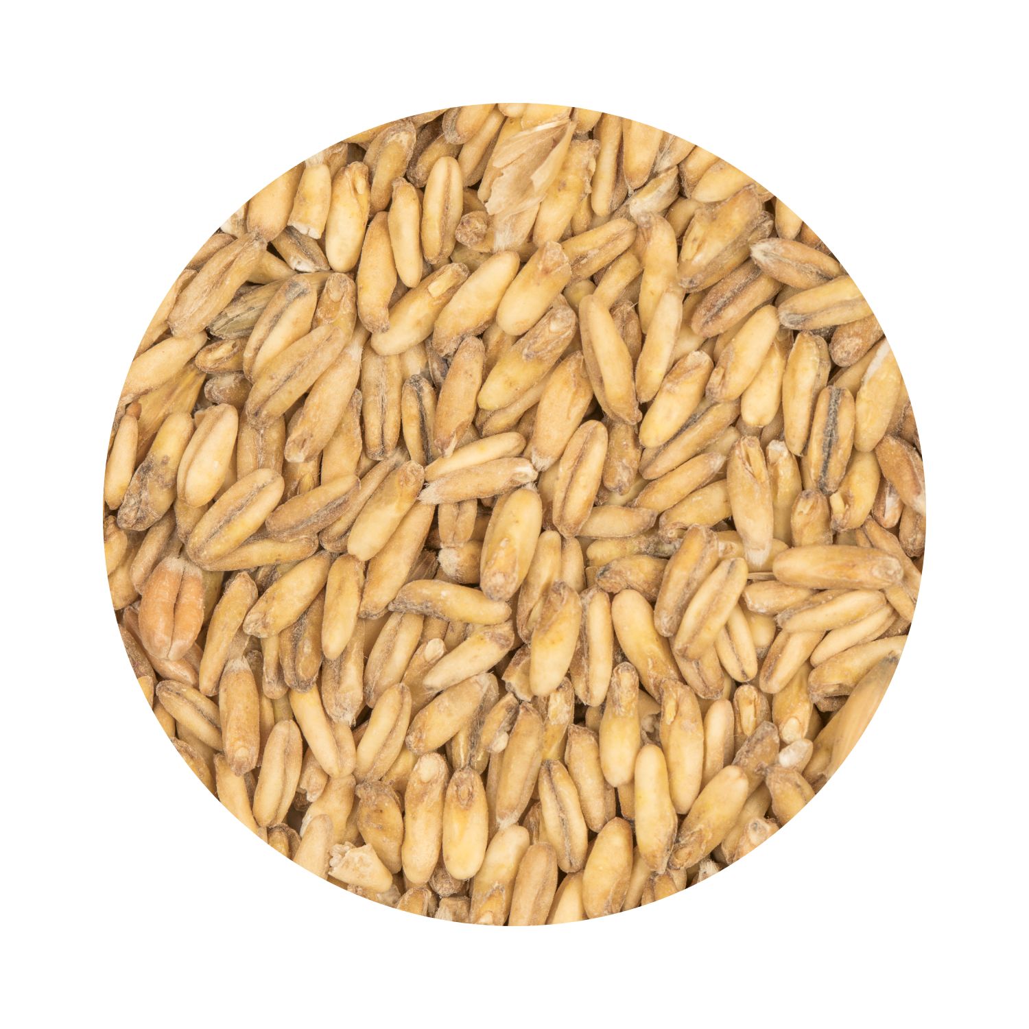 BEST Oat Malt